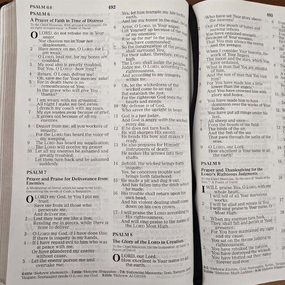 Thomas Nelson NKJV Ultraslim Bible Large Print Designer Series King James 2008 - Picture 4 of 6